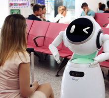 Load image into Gallery viewer, UBTech Cruzr 1S