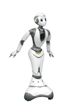 Load image into Gallery viewer, CM06 Cloud Mind Cloud Ginger