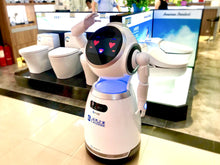 Load image into Gallery viewer, ParaBOT. Rent-A-BOT. UBTech Cruzr.