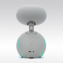 Load image into Gallery viewer, ParaBOT. Rent-A-BOT. Asus Zenbo Junior