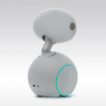 Load image into Gallery viewer, ParaBOT. Rent-A-BOT. Asus Zenbo Junior