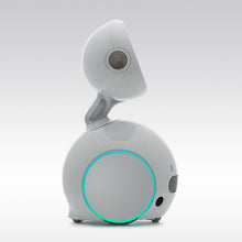 Load image into Gallery viewer, ParaBOT. Rent-A-BOT. Asus Zenbo Junior
