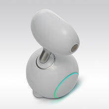 Load image into Gallery viewer, ParaBOT. Rent-A-BOT. Asus Zenbo Junior