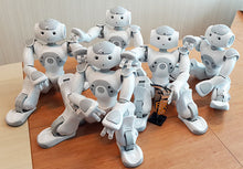 Load image into Gallery viewer, ParaBOT. Rent-A-BOT. Softbank Nao V6 White.