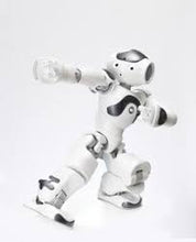 Load image into Gallery viewer, ParaBOT. Rent-A-BOT. Softbank Nao V6 White.