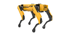 Load image into Gallery viewer, ParaBOT. Rent-A-BOT. Boston Dynamics Spot.