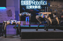 Load image into Gallery viewer, deeprobotics lite3
