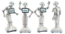 Load image into Gallery viewer, ParaBOT. Rent-A-BOT. Softbank Pepper
