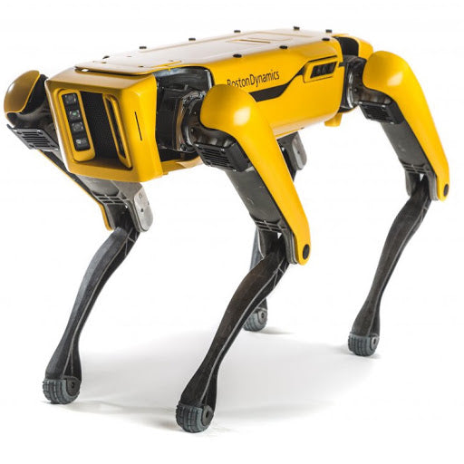 ParaBOT. Rent-A-BOT. Boston Dynamics Spot.