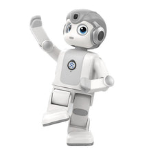 將圖片載入圖庫檢視器 ParaBOT. Rent-A-BOT. UBTech Alpha Mini.
