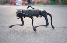 Load image into Gallery viewer, ParaBOT. Rent-A-BOT. Unitree Aliengo.
