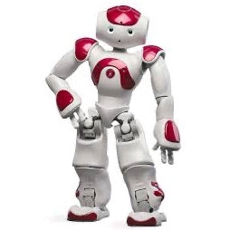 ParaBOT. Rent-A-BOT. Softbank Nao V6 Red