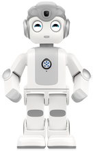 將圖片載入圖庫檢視器 ParaBOT. Rent-A-BOT. UBTech Alpha Mini.

