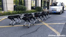 Load image into Gallery viewer, ParaBOT. Rent-A-BOT. Unitree Aliengo.
